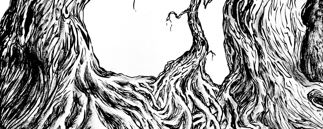1 desenho expo raizes mt cartaz 1117x446px