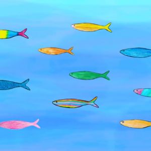 Não percas o cardume de vista