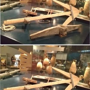 Descobre as 7 diferenças