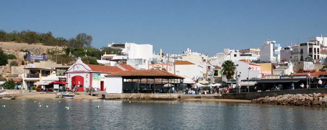 imagem1 1117x446px