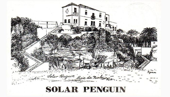 Solar Pinguim