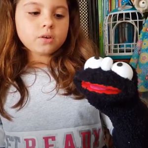 Uma Meia Um Fantoche